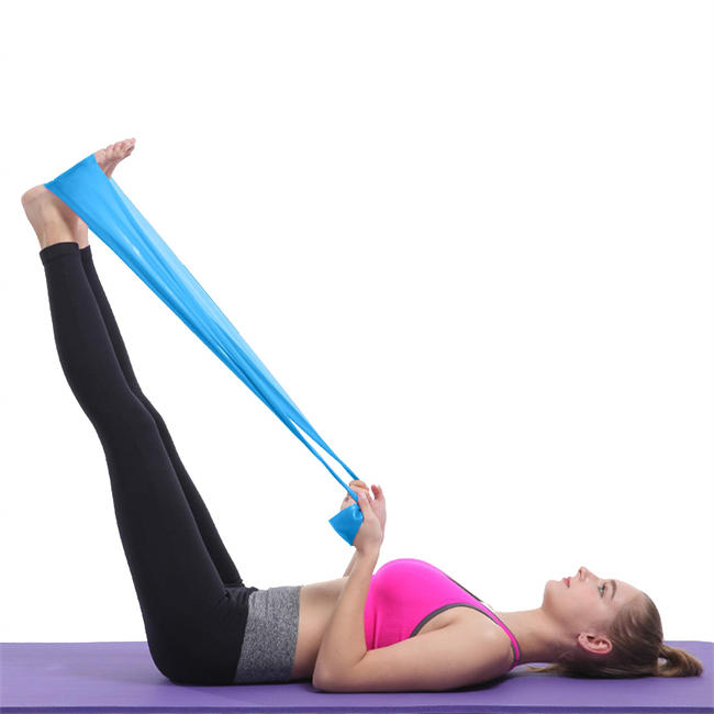 Resistance Bands Elastic Exercise Bands Set for Recovery, Physical Therapy, Yoga, Pilates, Rehab,Fitness,Strength Training